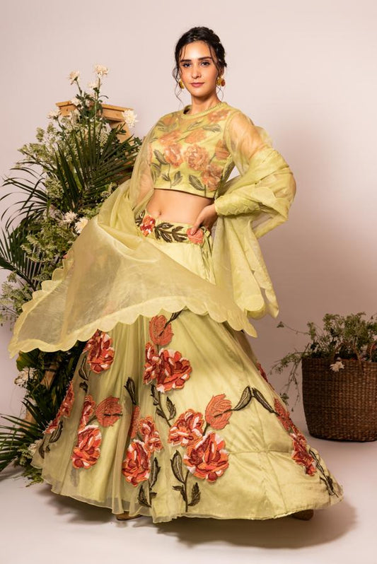 Pista green fish scale sleeves lehenga set
