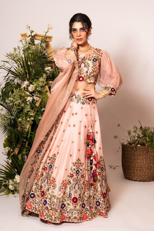 Peach cut dana lehenga set